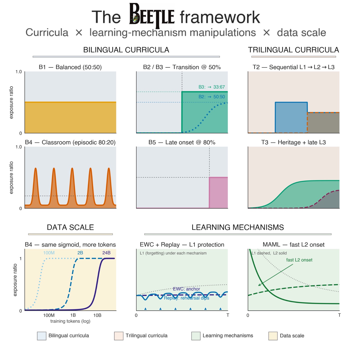 The Beetle framework: independently manipulable tokeniser, target language, training budget, and exposure structure, all configured via YAML.