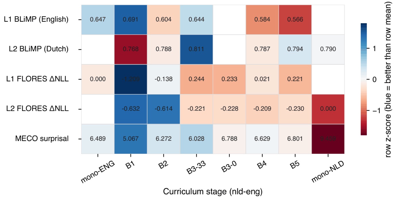 Heatmap showing phase transitions in ability across training checkpoints and exposure curricula.