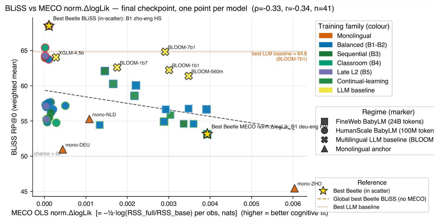 Comparison of BLiSS grammaticality versus MECO reading-time outcomes across exposure curricula, showing a dissociation.